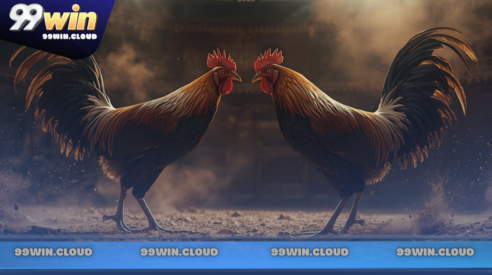 Các giải đấu đá gà cựa dao hàng đầu thế giới hiện nay