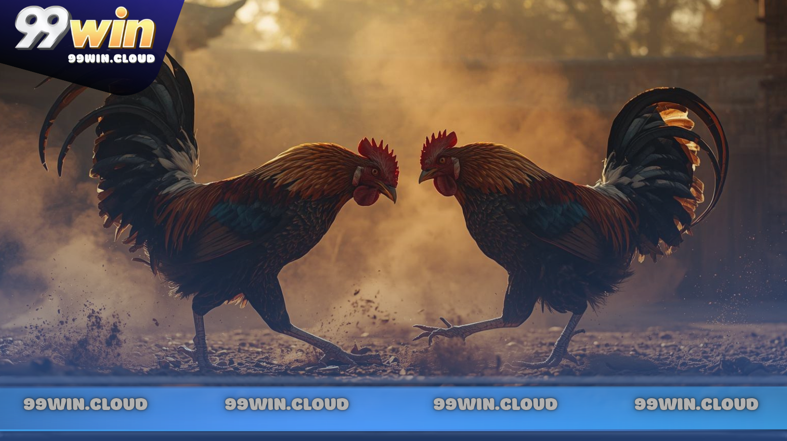 Đặc điểm của vũ khí cựa sắt trong thi đấu