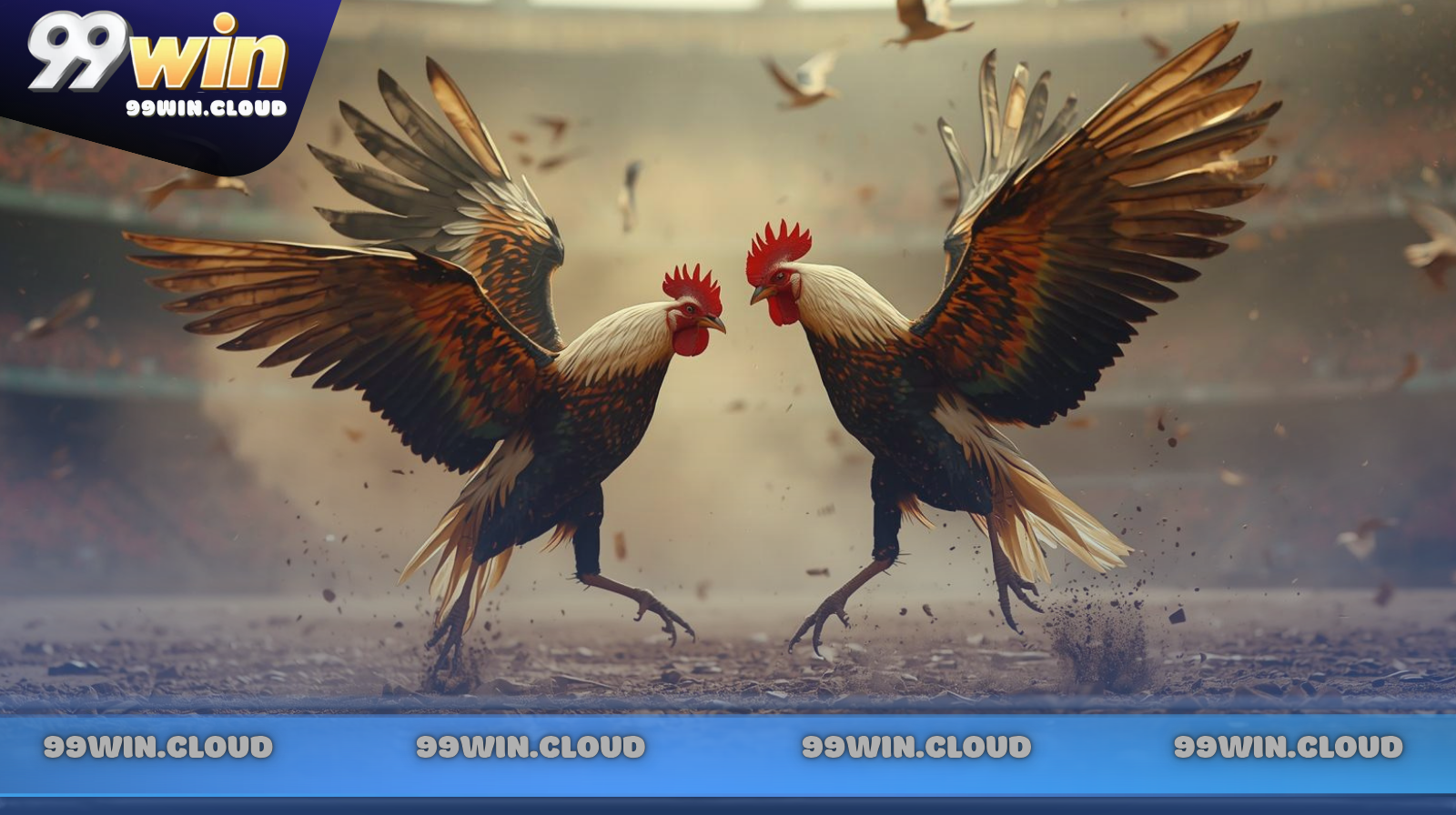 Các giống gà chuyên đá cựa sắt "bách chiến bách thắng"