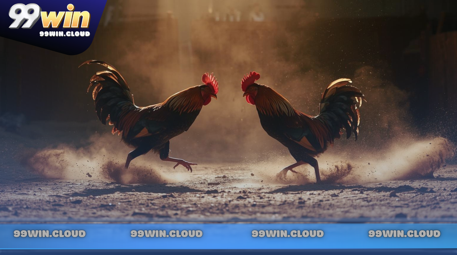 Top các giống gà Tre đá hay nhất hiện nay