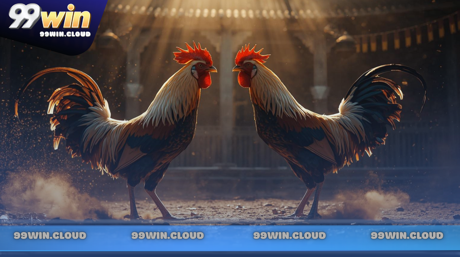 Kinh nghiệm "nhìn gà hóa vàng" cho người chơi cá cược