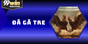 Đá Gà Tre Tại 99WIN – Top Chiến Kê Và Bí Kíp Cược Bất Bại