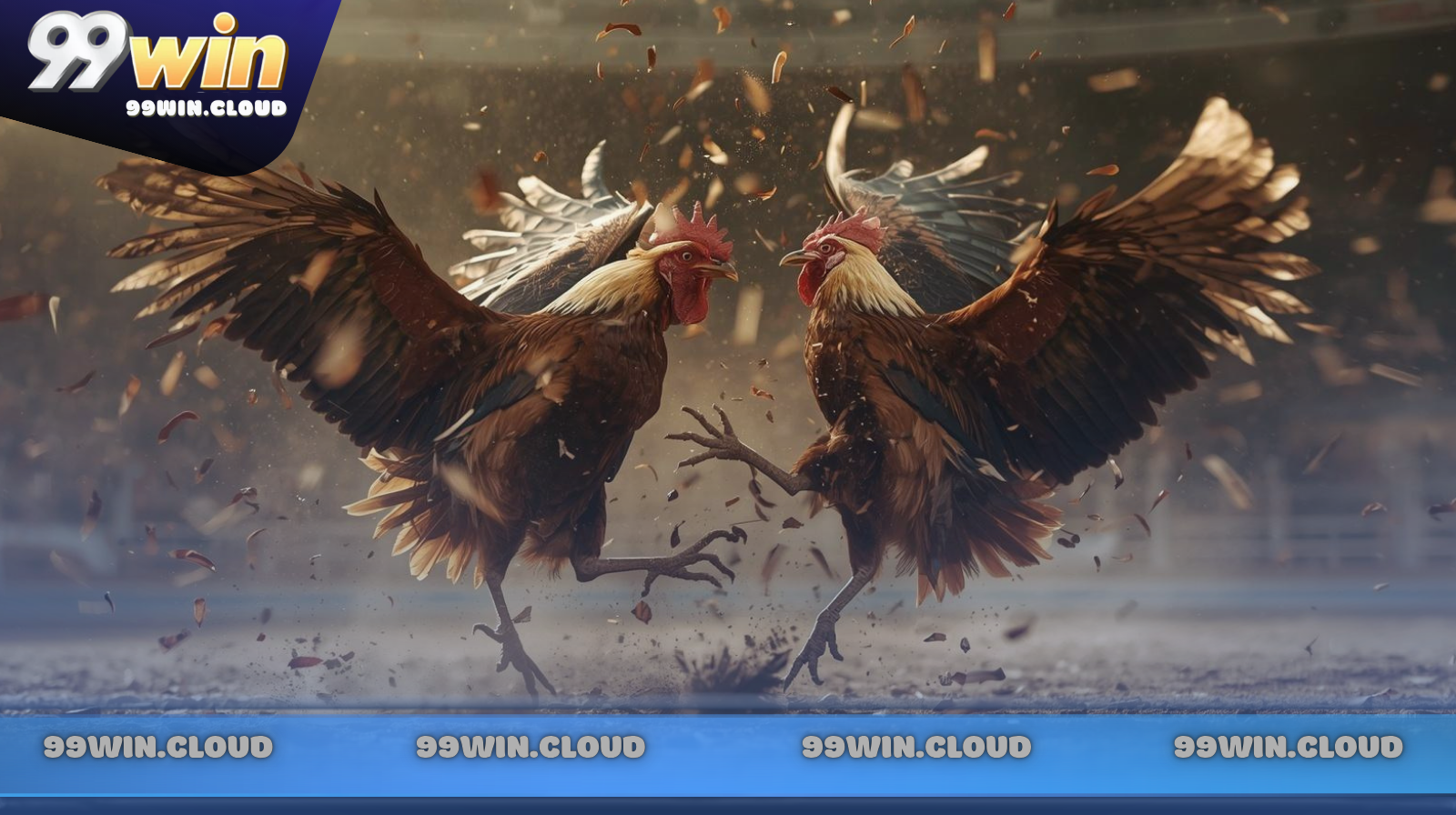 Để chọn được một chiến kê cựa dao chất lượng, người chơi cần quan sát kỹ thể lực, lối đá và khả năng phản xạ trong từng trận đấu